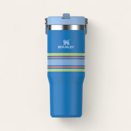 Stanley The IceFlow Flip 30oz Tumblers (Dupe)