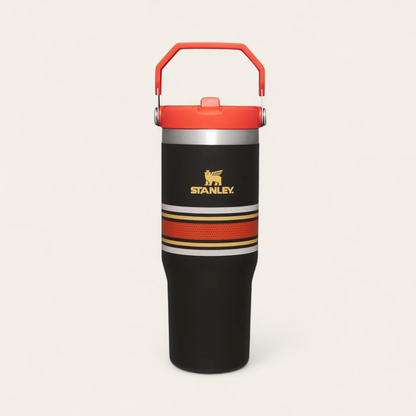 Stanley The IceFlow Flip 30oz Tumblers (Dupe)